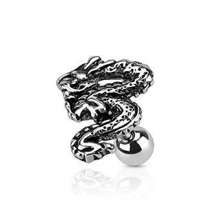 Levně Cartilage piercing do ucha had - CP1073
