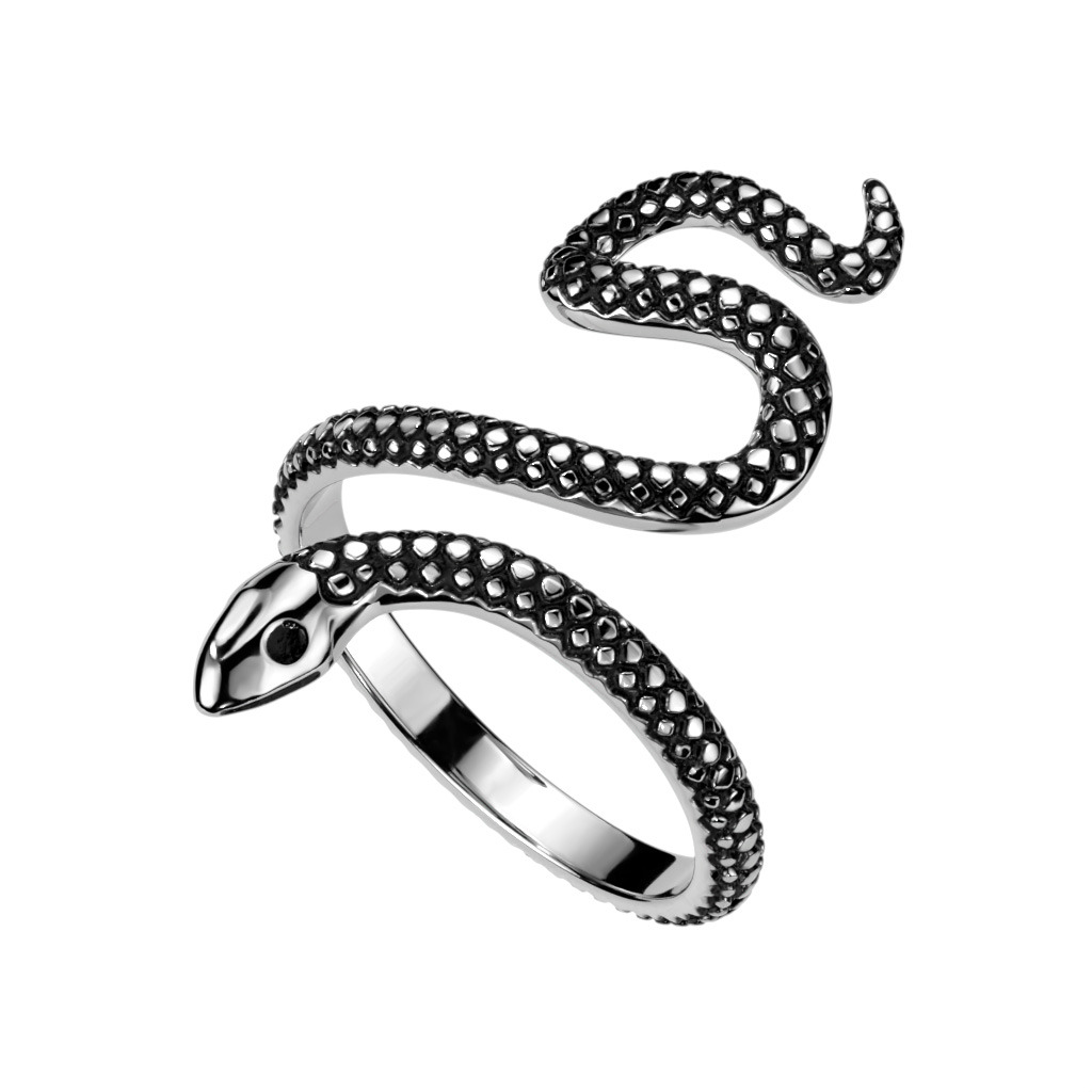 Šperky4U Ocelový prsten had - velikost 65 - OPR1929-65
