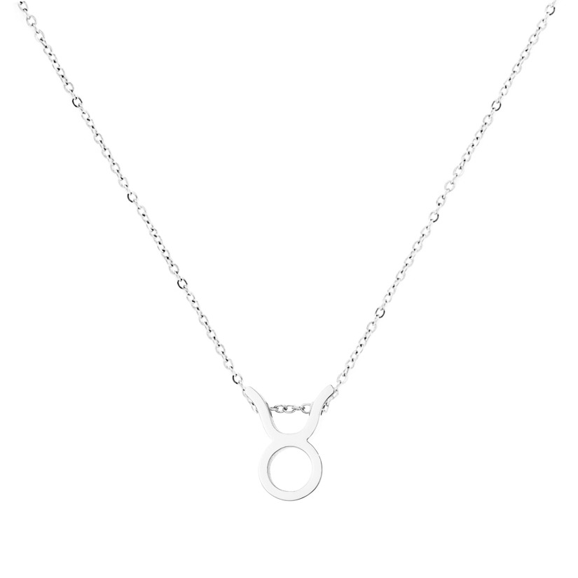 Šperky4U Ocelový náhrdelník znamení býk - OPD0263-02