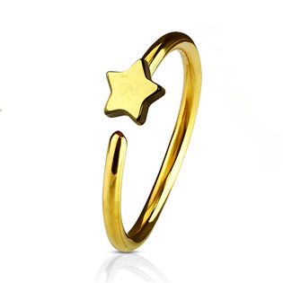 Šperky4U Piercing do nosu/ucha kruh s hvězdou - N0053-GD Šperky4U Piercing do nosu/ucha kruh s hvězdou - N0053-GD