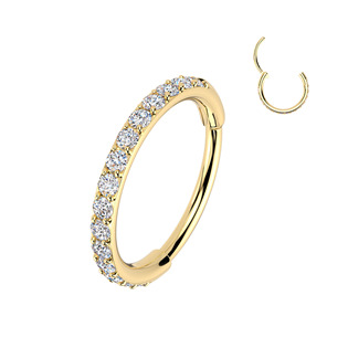 Levně Zlacený ocelový piercing - segment kruh se zirkony - SG120GD-06