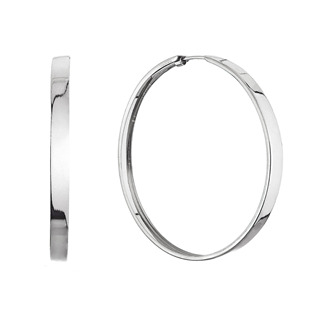 Levně EVOLUTION GROUP CZ Stříbrné náušnice kruhy 43 mm - 61068