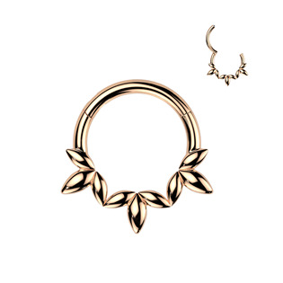 Levně Zlacený ocelový kruh - helix / cartilage / septum piercing - SG124-RD