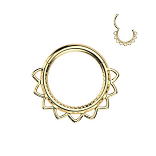 Levně Zlacený ocelový kruh - helix / cartilage / septum piercing - SG126-GD