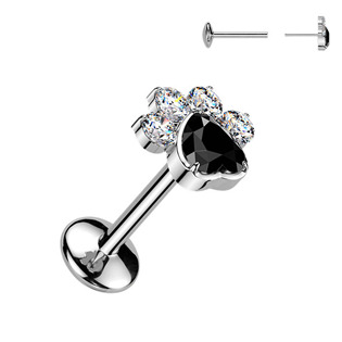 Levně Piercing do brady tlapka - PUSH IN labreta TITAN - TIT1664