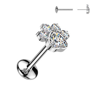 Levně Piercing do brady tlapka - PUSH IN labreta TITAN - TIT1663