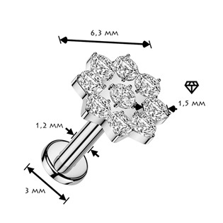 LB1163-1206 Piercing do brady kytička