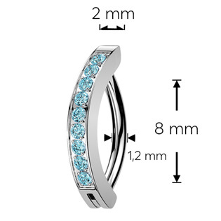 TIT1750-P Piercing do obočí s ozdobným štítem TITAN