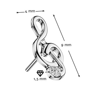 TIT1772 Náhradní ozdobná část k PUSH IN piercingu TITAN