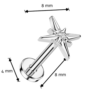 TIT1781 Piercing do brady - PUSH IN labreta TITAN