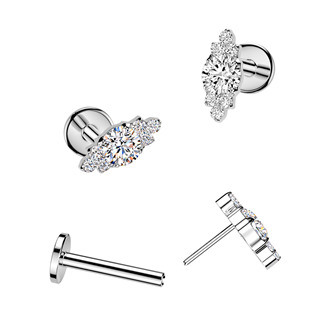 TIT1786 Piercing do brady - PUSH IN labreta TITAN