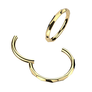 SG146GD-0808 Zlacený ocelový piercing - segment kruh