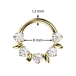 TIT1601GD Zlacený piercing segment kruh TITAN, 1,2 x 8 mm