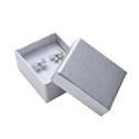 Dárková krabička na náušnice - stříbrná