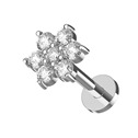 Labreta - piercing do brady kytička