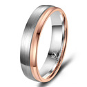 Pánský snubní prsten Titan