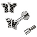 Piercing do brady - labreta - motýlek