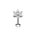 Piercing do brady - labreta kytička, čirý kamínky, 1,2 x 8 mm