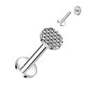 Piercing do brady - labreta TITAN, 1,2 x 8 mm