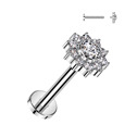 Piercing do brady - labreta TITAN