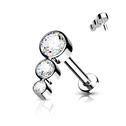 Piercing do brady / ucha TITAN