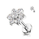 Piercing do brady / ucha TITAN