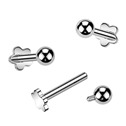 Piercing do brady labreta TITAN
