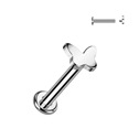 Piercing do brady labreta TITAN