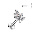 Piercing do brady větvička - PUSH IN labreta