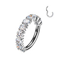 Piercing segment kruh TITAN s Moissanity 0.30ct (2mm)
