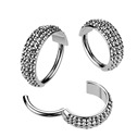 Segment kruh - helix / cartilage / tragus piercing TITAN