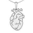 Stříbrný přívěsek anatomické srdce