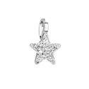 Stříbrný přívěsek s krystaly Crystals from Swarovski® hvězdička