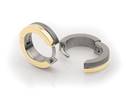 Zlacené titanové náušnice kroužky 0510-03